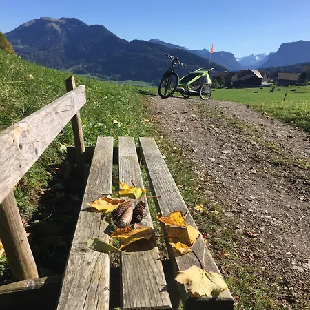 Appartement Neu Auszeit985 - Auszeit Mit Ausblick Schwarzenberg im Bregenzerwald